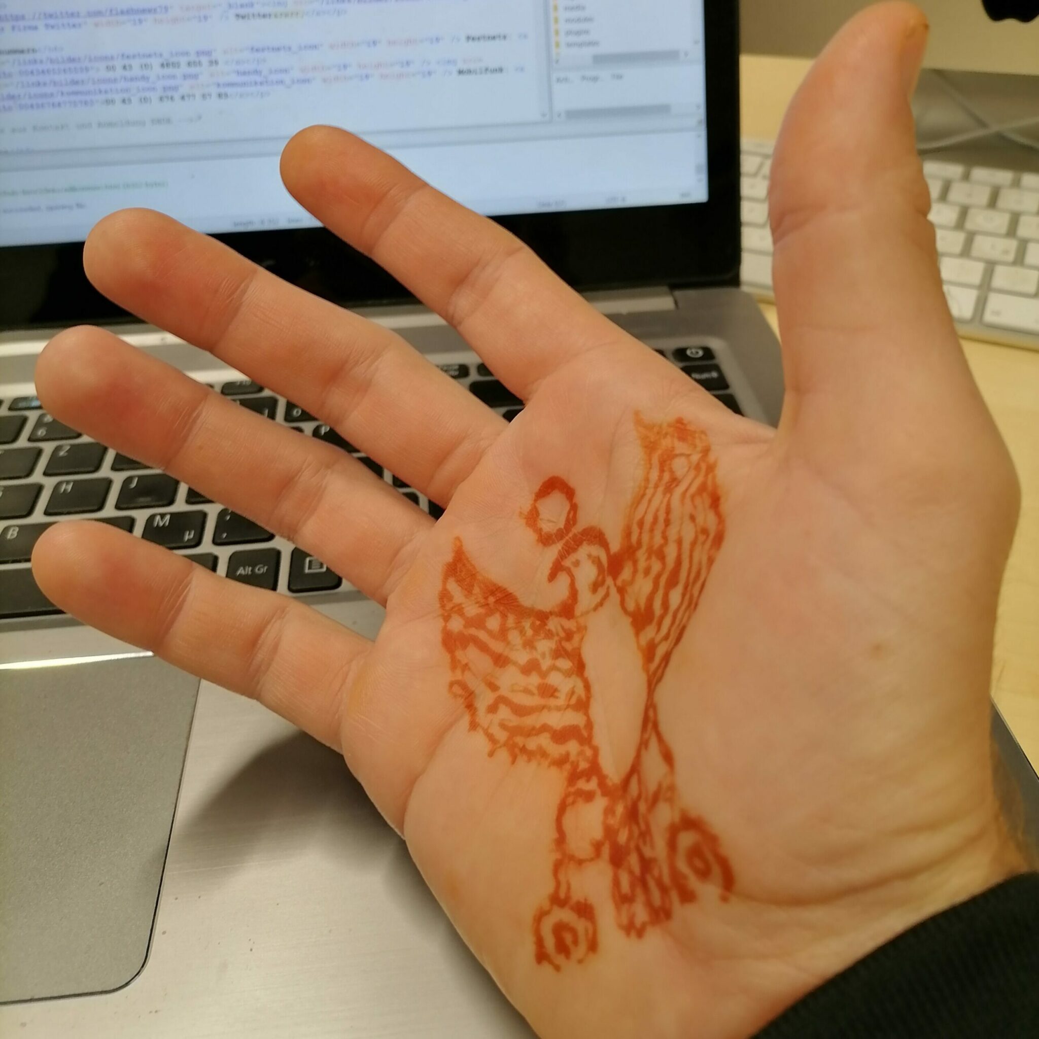 Was ist Henna und Jagua?
